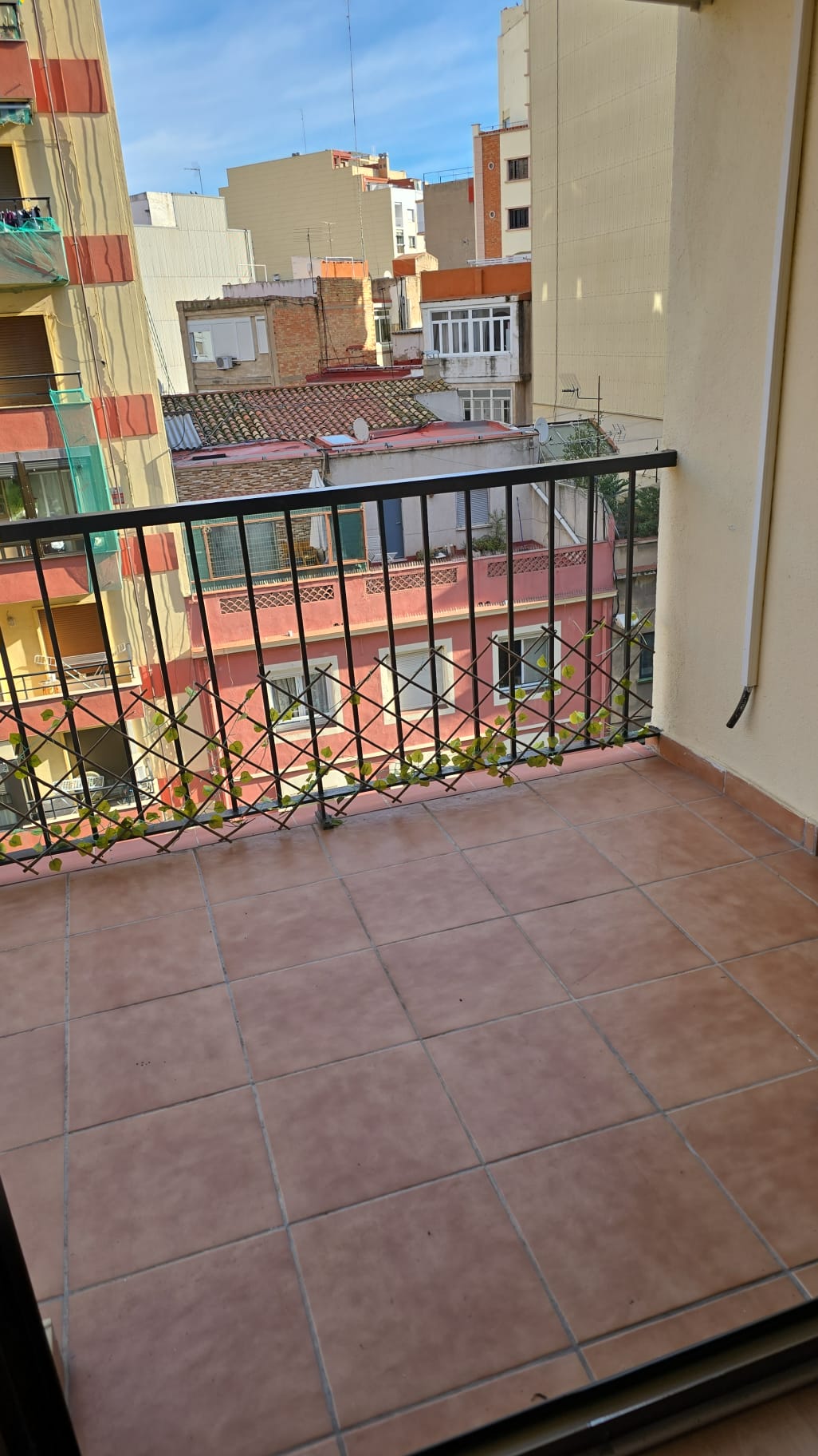 WhatsApp Image 2026 01 07 at 12.18.58 (1)