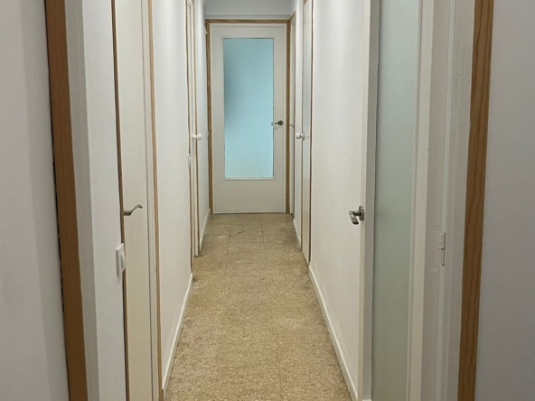 WhatsApp Image 2026 03 03 at 13.43.03