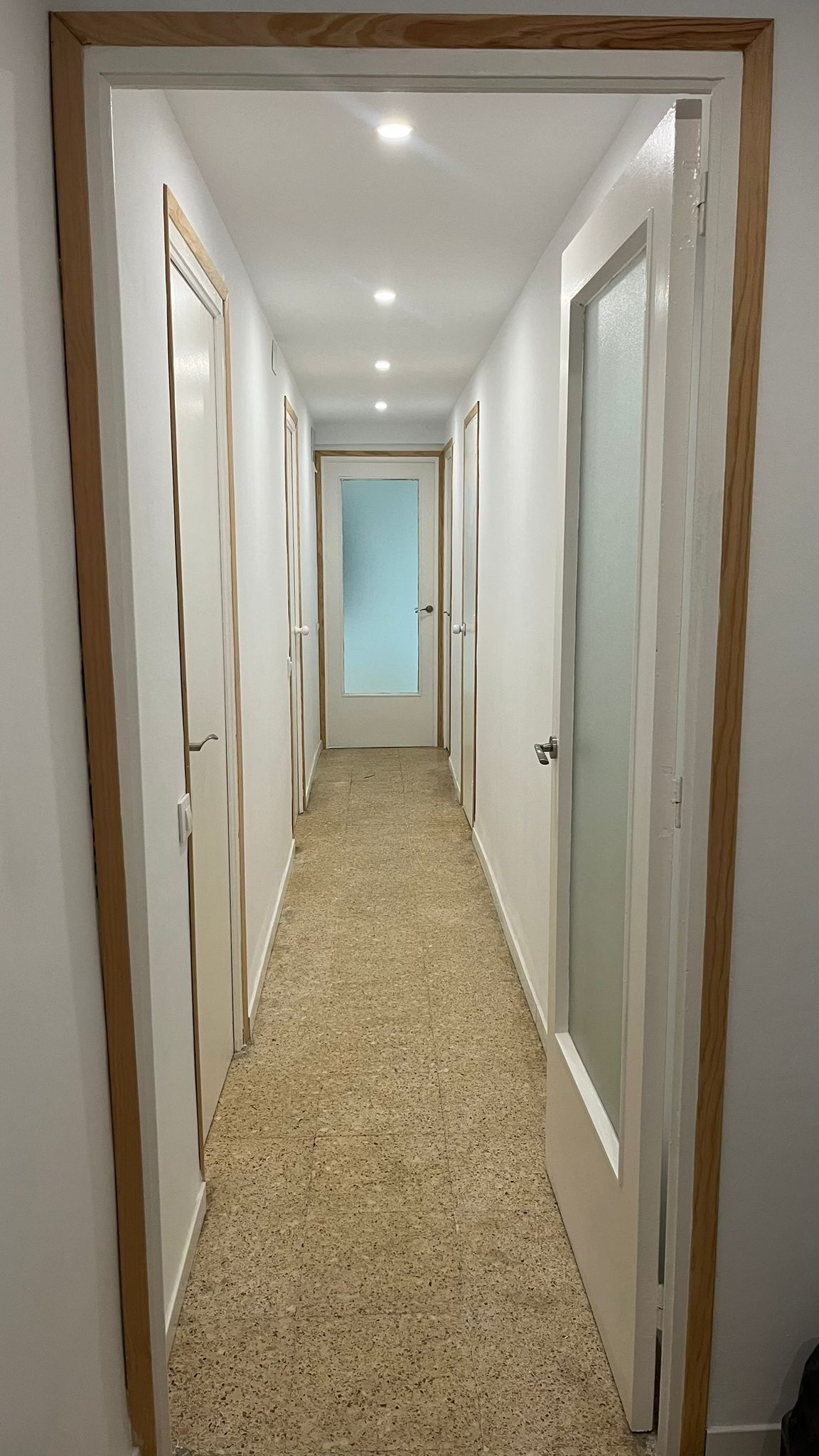 WhatsApp Image 2026 03 03 at 13.43.03